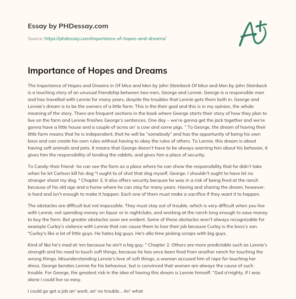 Importance of Hopes and Dreams essay