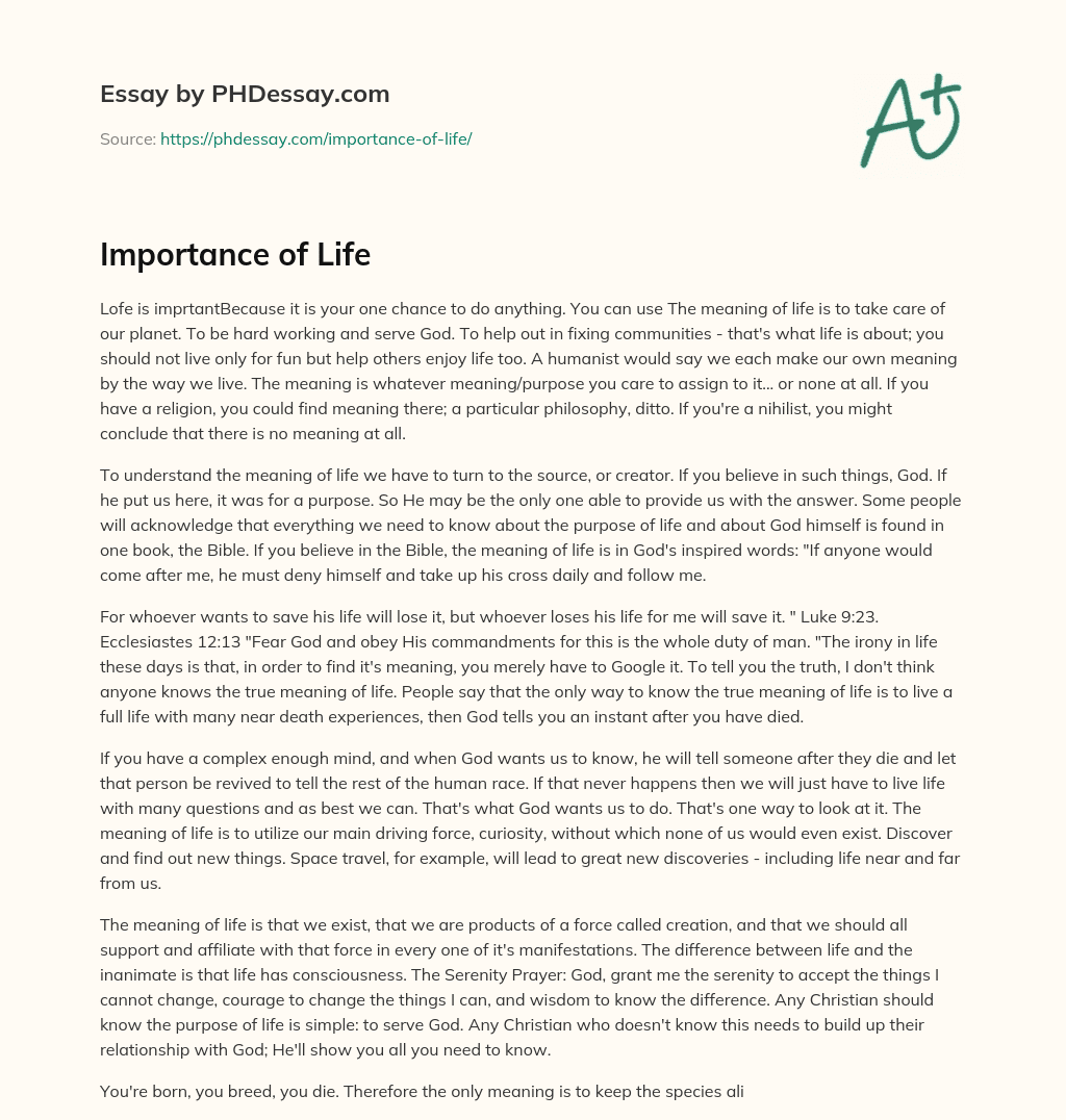 Importance of Life essay