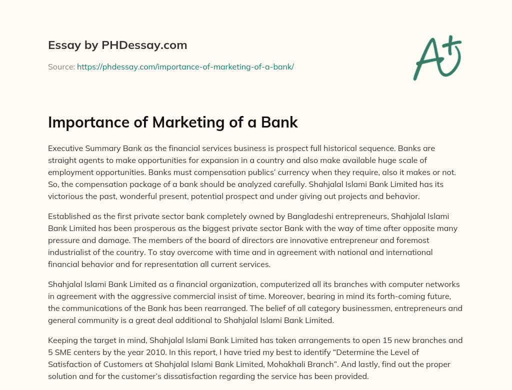 Importance of Marketing of a Bank essay