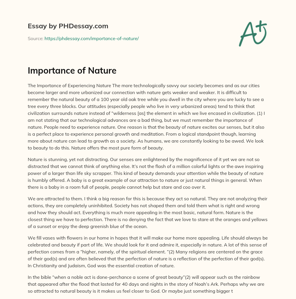 the importance of nature essay