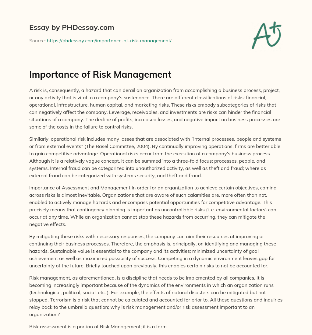 risk management importance essay