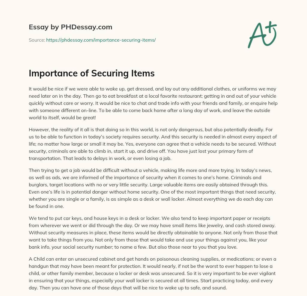 Importance of Securing Items essay