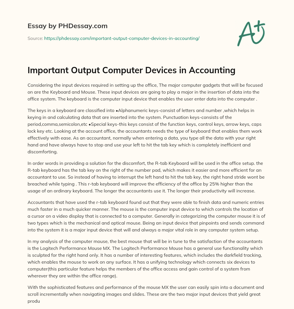 Important Output Computer Devices in Accounting essay