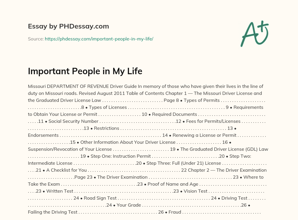 Important People in My Life essay