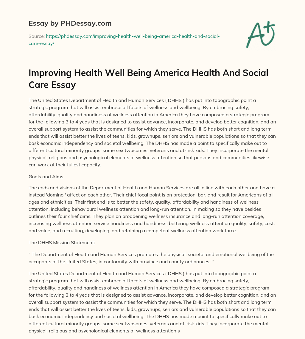 Improving Health Well Being America Health And Social Care Essay essay
