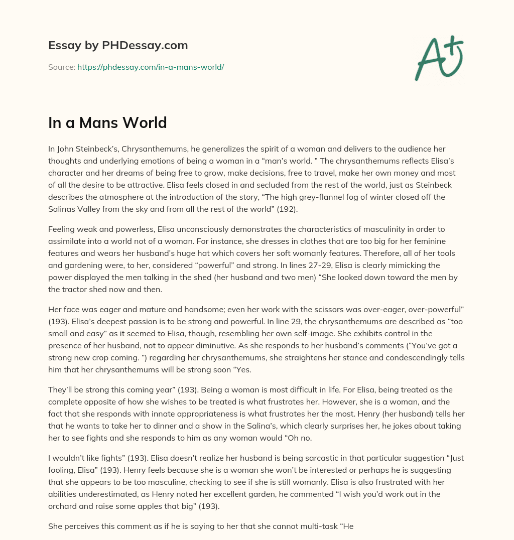 In a Mans World essay