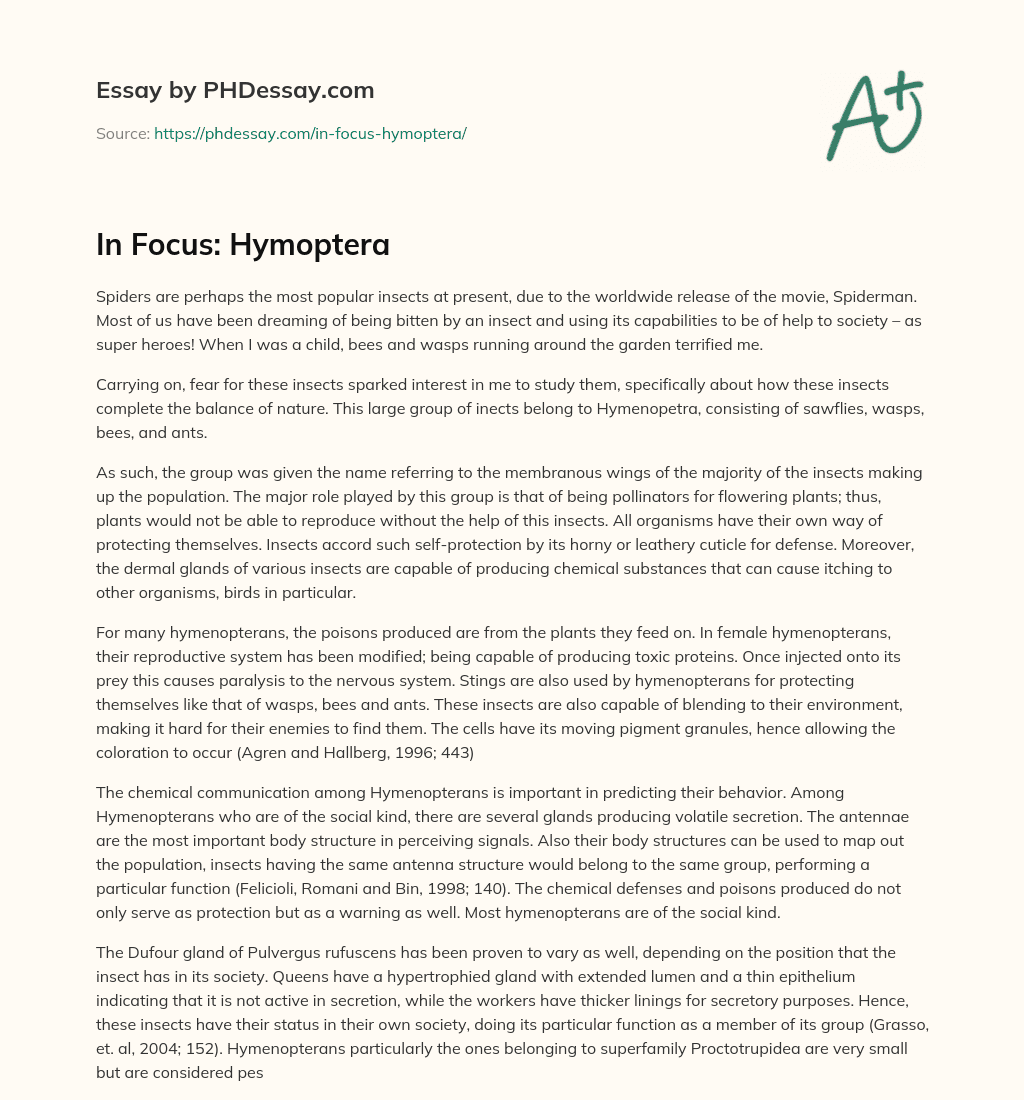 In Focus: Hymoptera essay