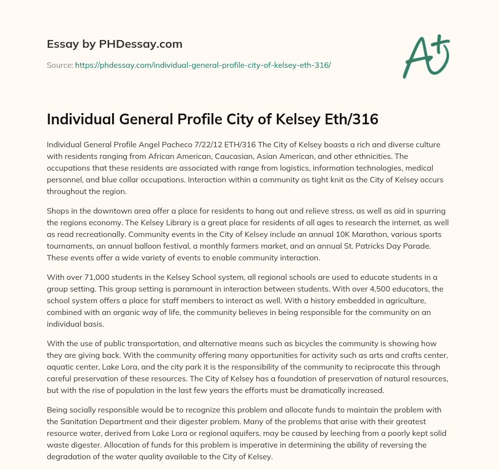 Individual General Profile City of Kelsey Eth/316 essay