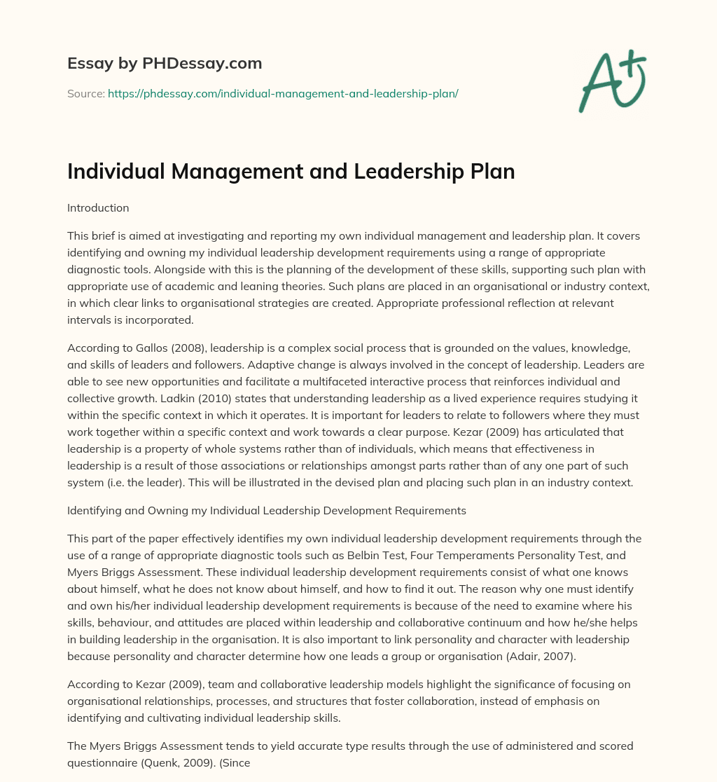 Individual Management and Leadership Plan essay