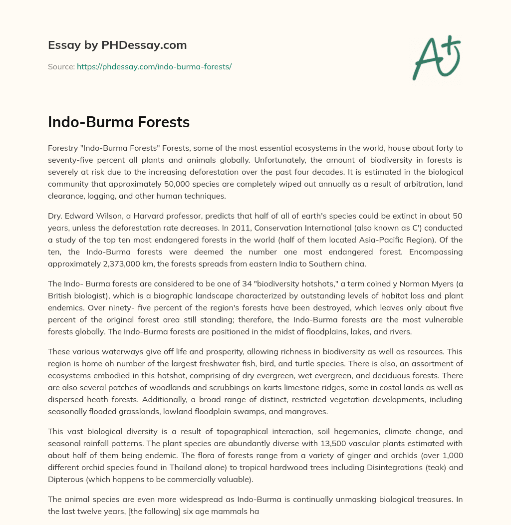 Indo-Burma Forests essay