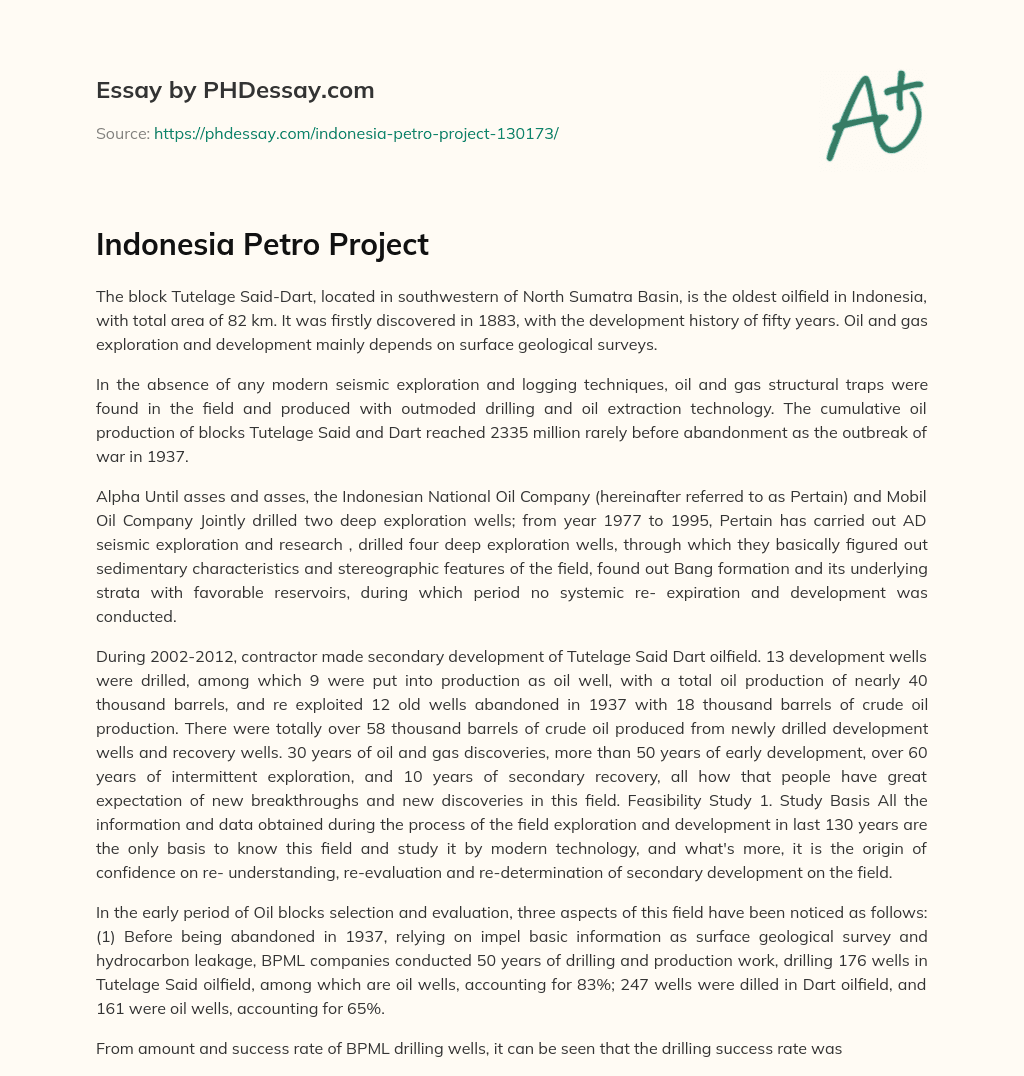Indonesia Petro Project essay