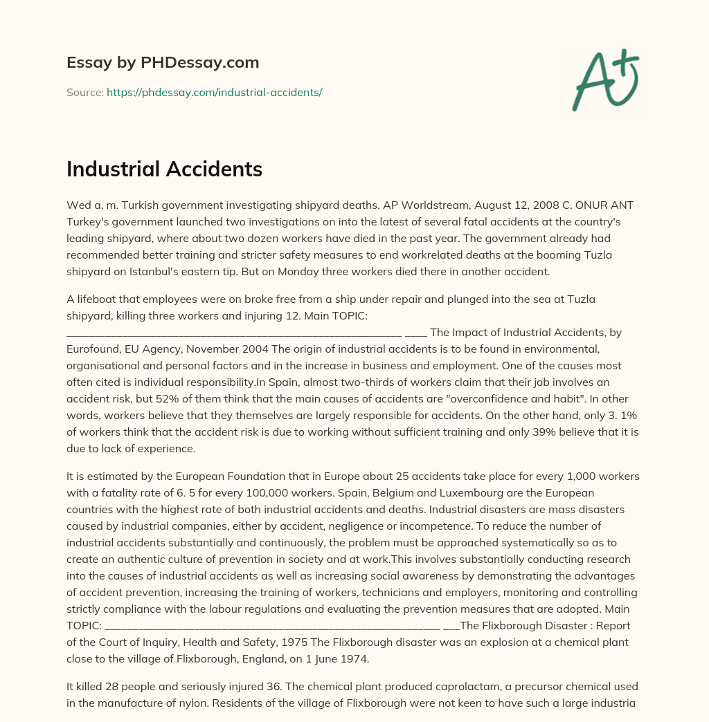 Industrial Accidents essay