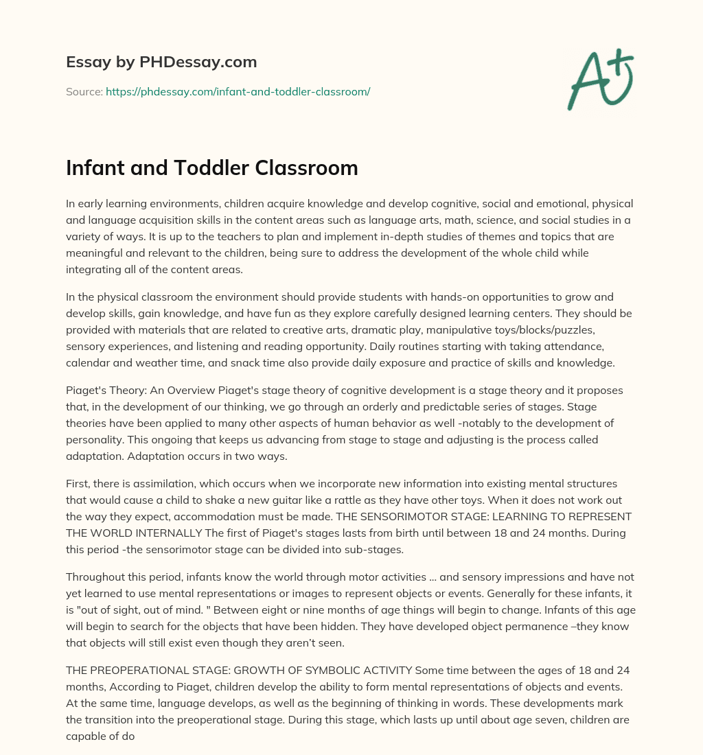 Infant and Toddler Classroom essay