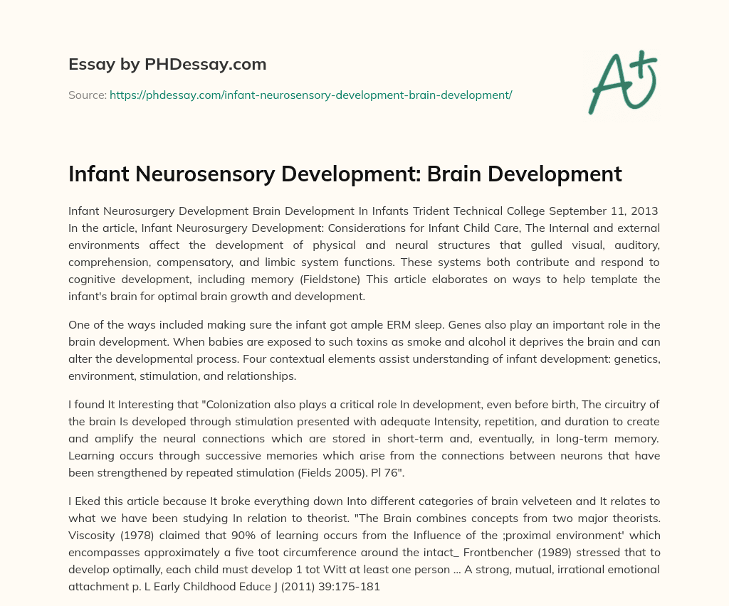 Infant Neurosensory Development: Brain Development essay