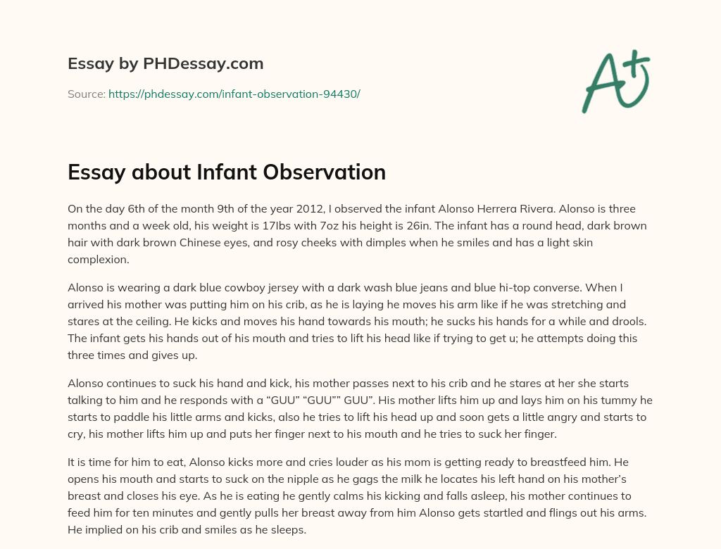 Essay about Infant Observation essay