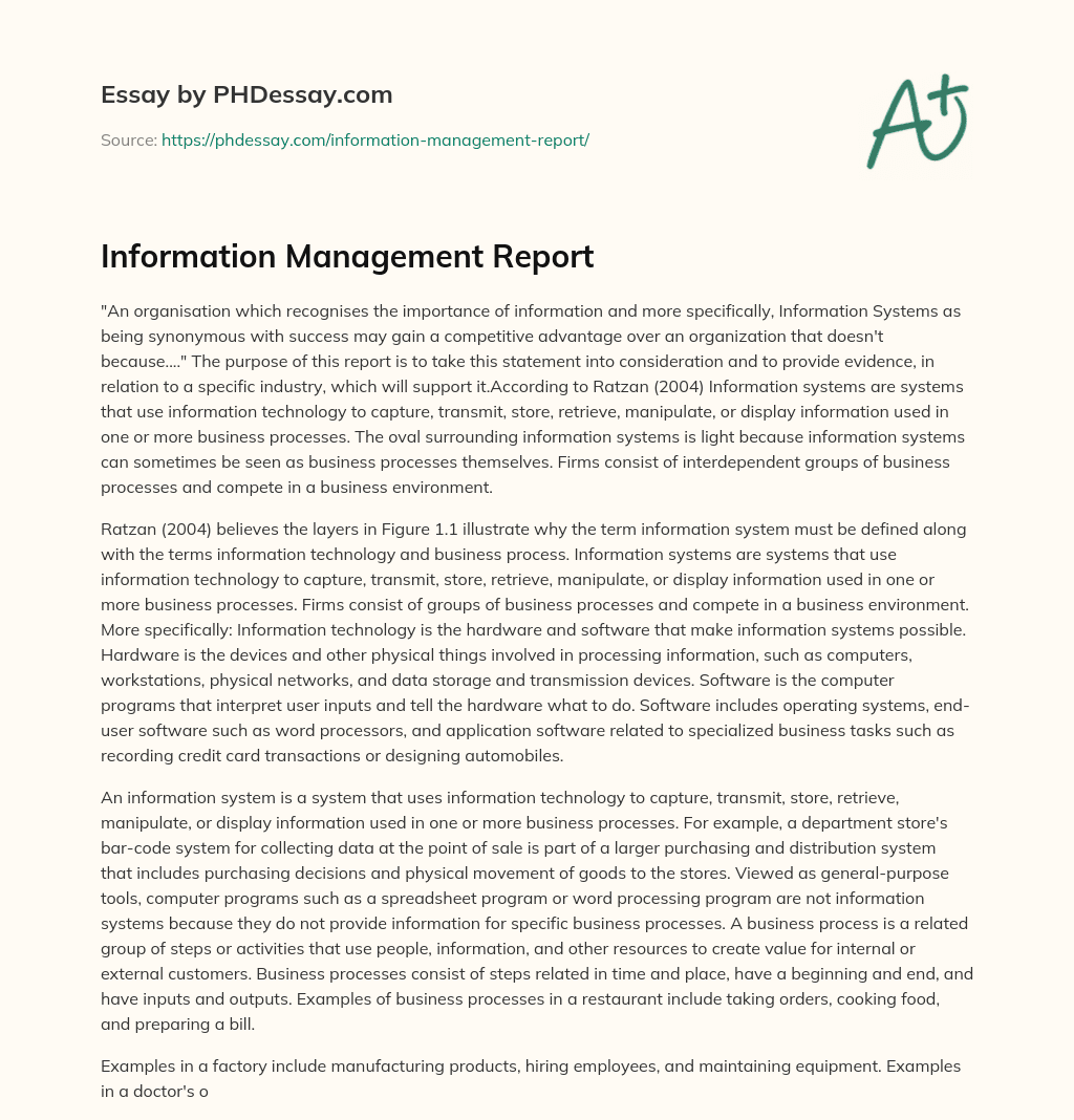 Information Management Report essay