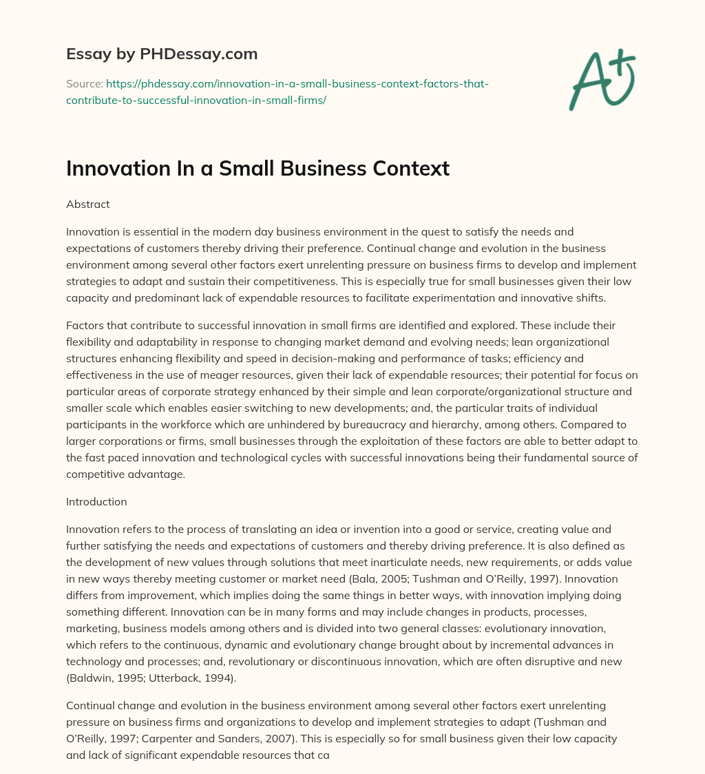 Innovation In a Small Business Context essay
