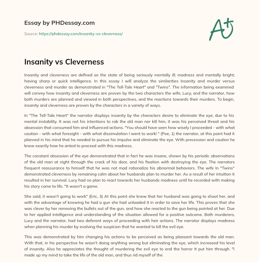 Insanity vs Cleverness essay