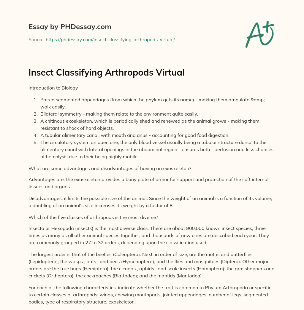 Insect Classifying Arthropods Virtual essay