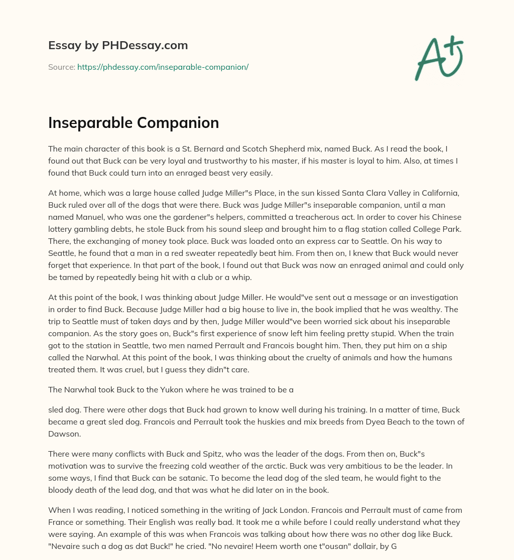 Inseparable Companion essay
