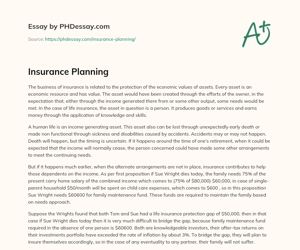 Insurance Planning essay