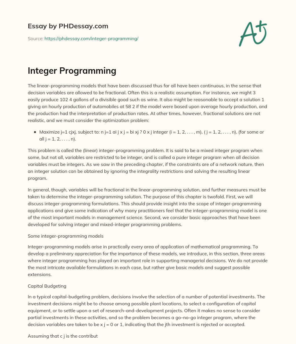 Integer Programming essay