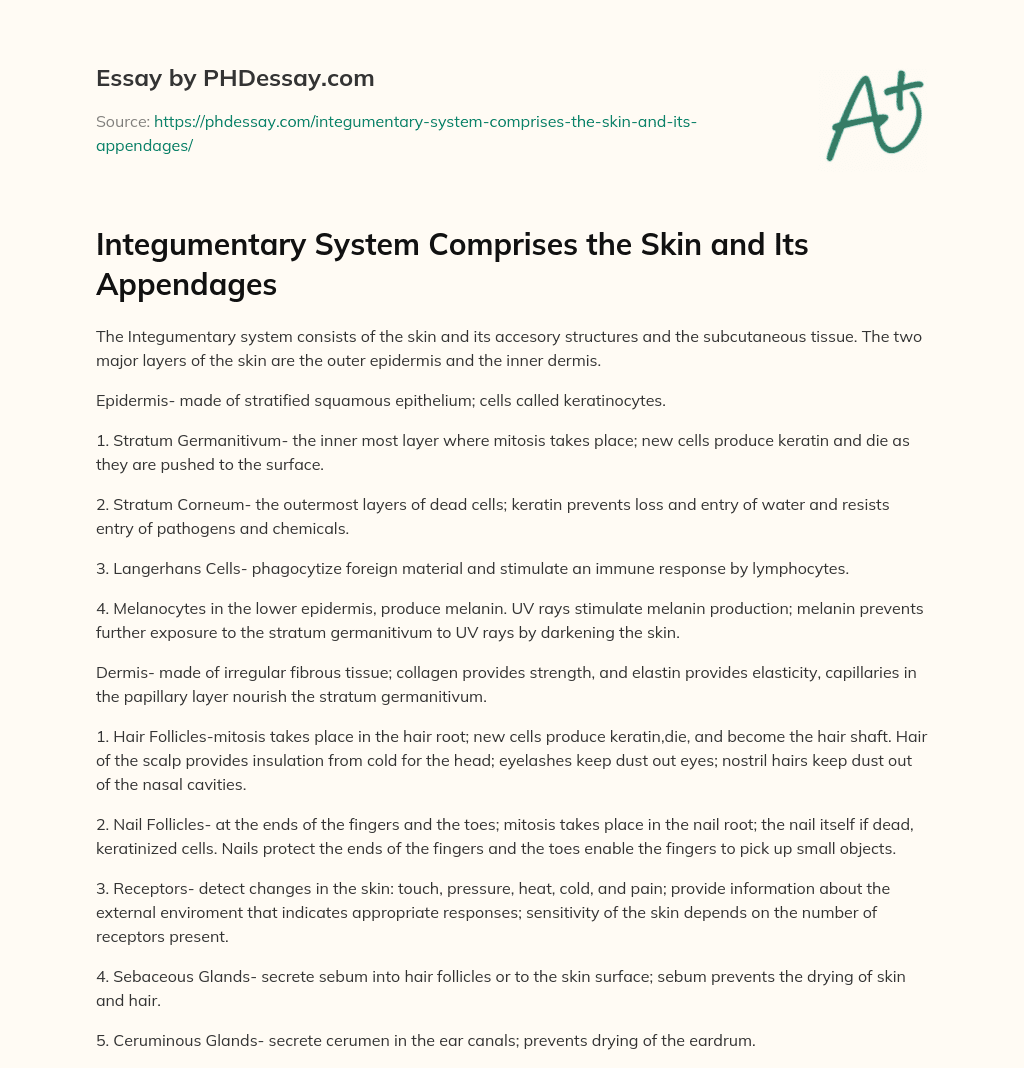 Integumentary System Comprises the Skin and Its Appendages essay