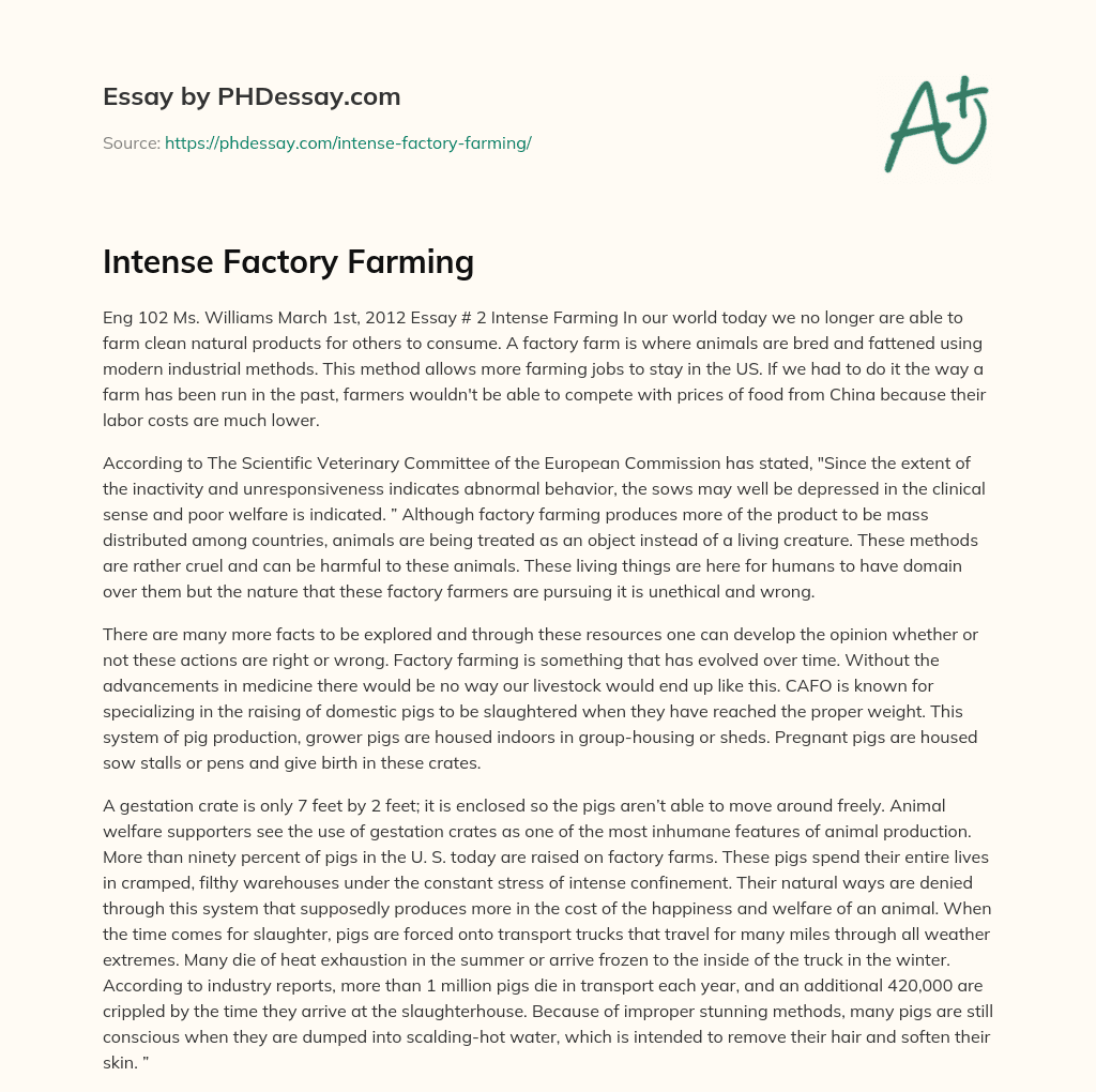 Intense Factory Farming essay