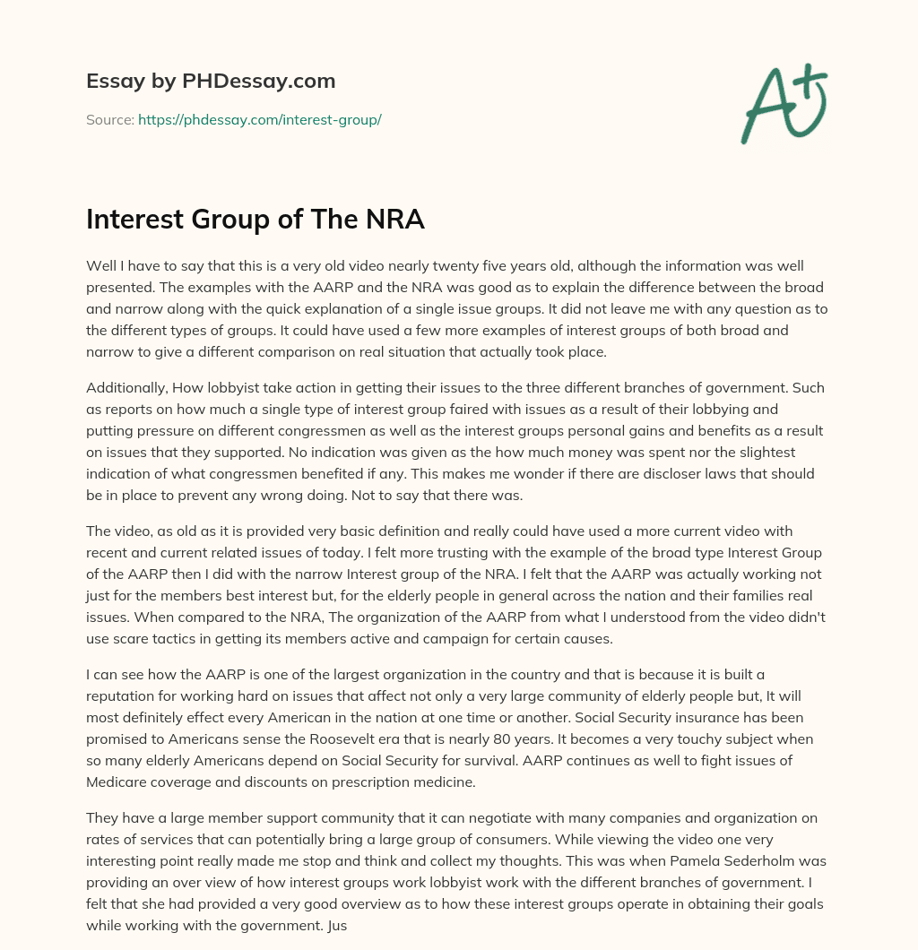 Interest Group of The NRA essay