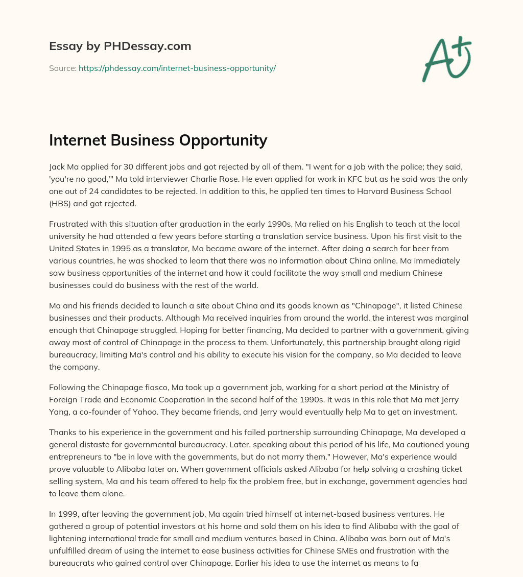 Internet Business Opportunity essay