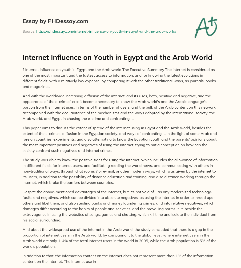 Internet Influence on Youth in Egypt and the Arab World essay