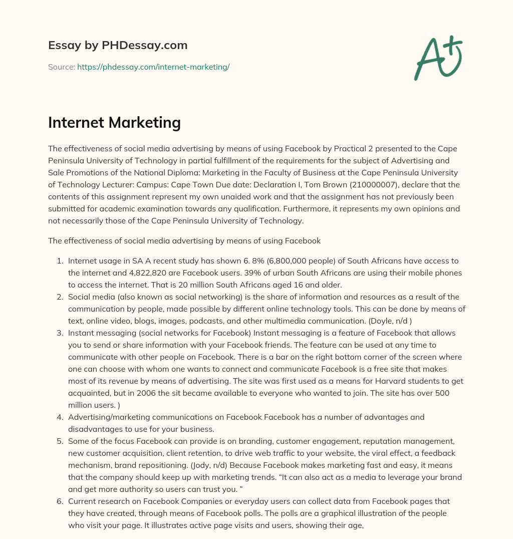 Internet Marketing essay