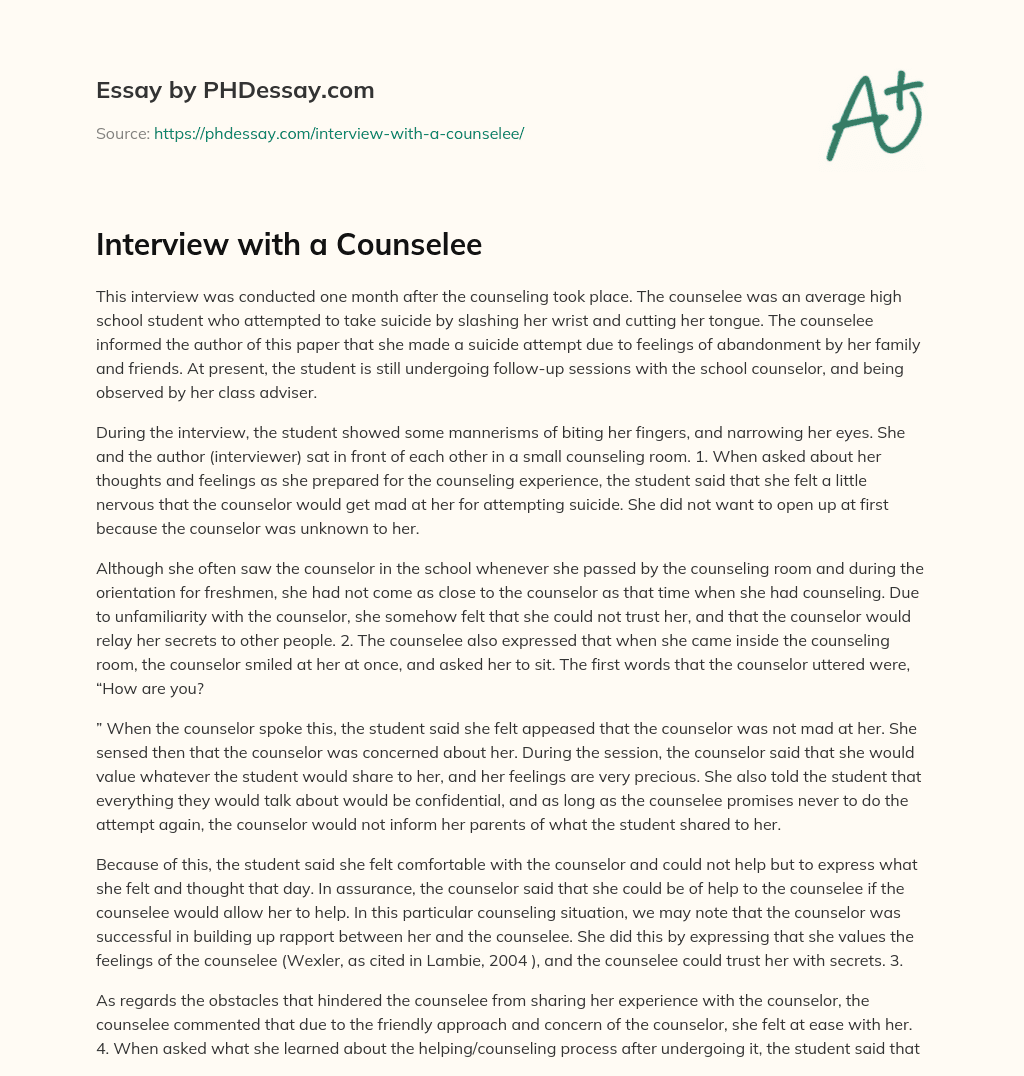 Interview with a Counselee essay