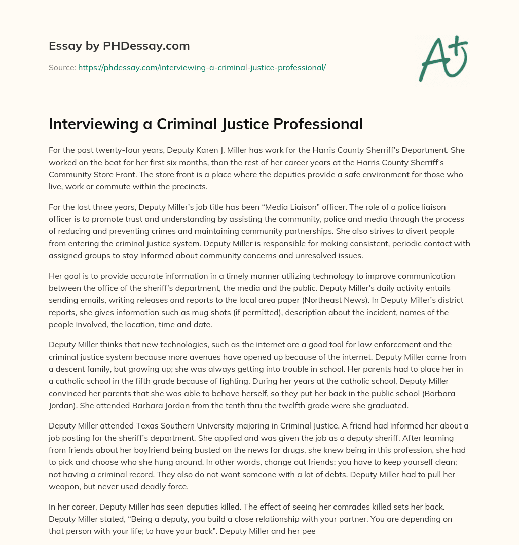 Interviewing a Criminal Justice Professional essay