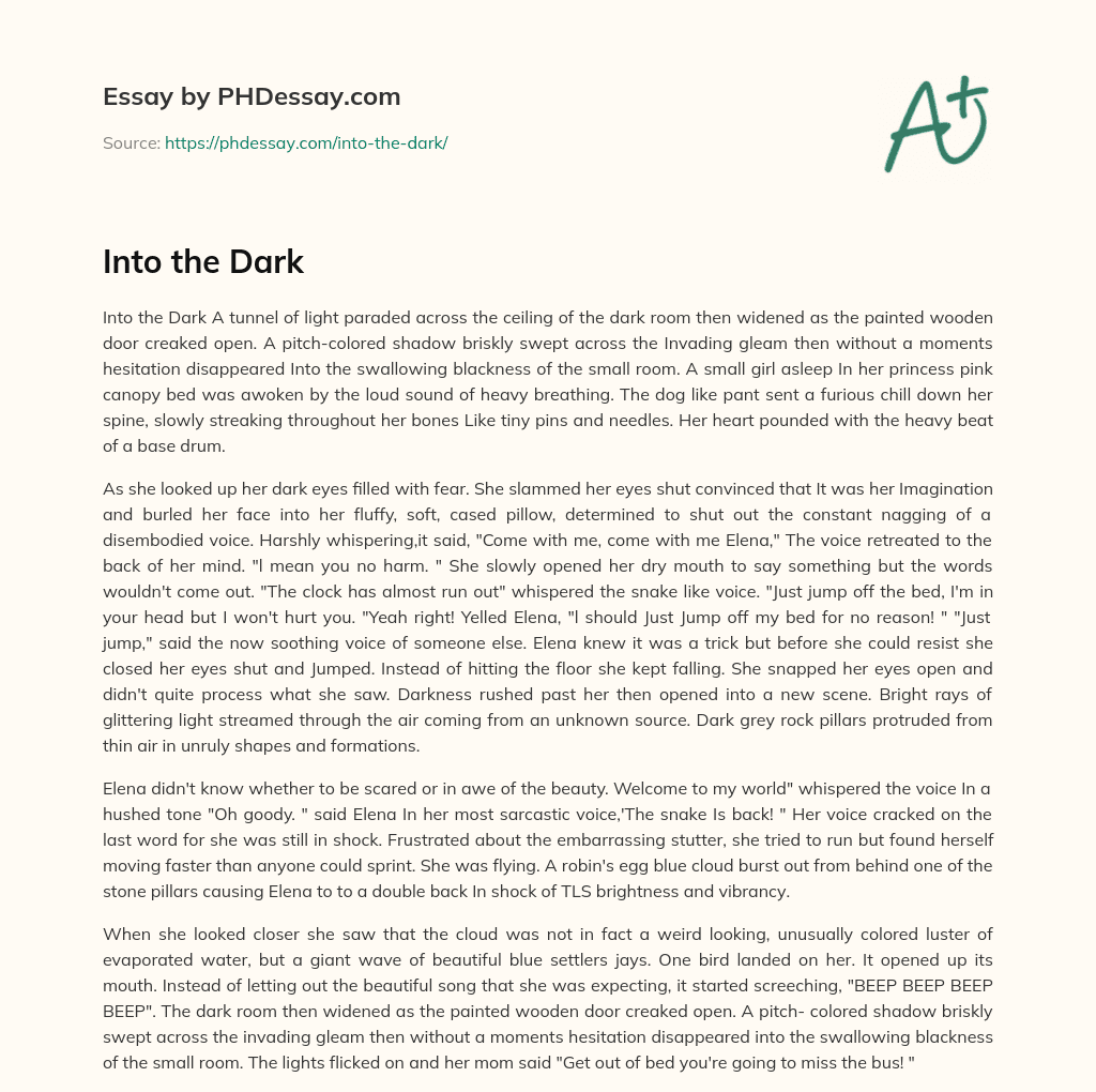 Into the Dark essay