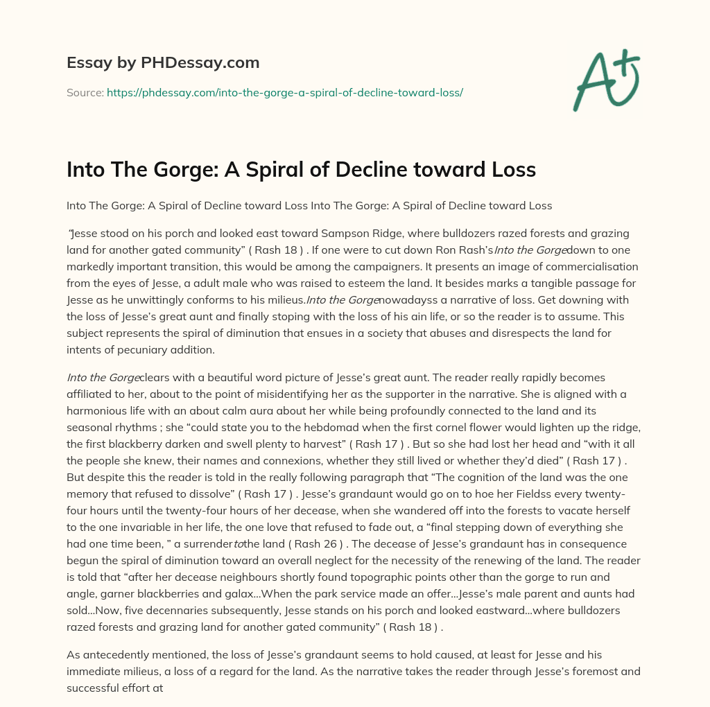 Into The Gorge: A Spiral of Decline toward Loss essay