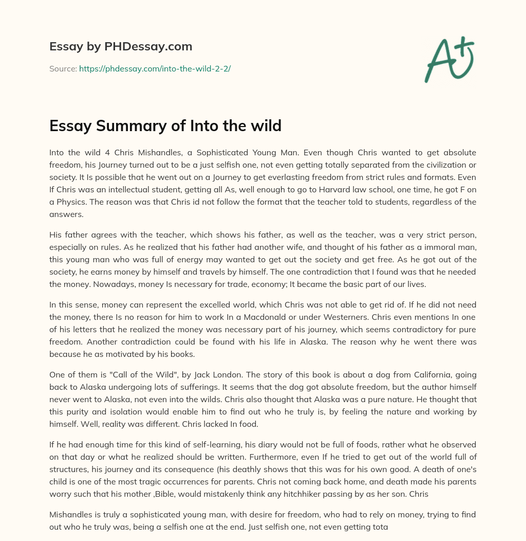 Essay Summary of Into the wild essay