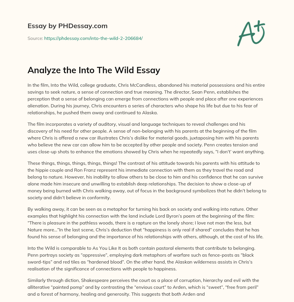 The Importance of Connection and Belonging in Into the Wild essay