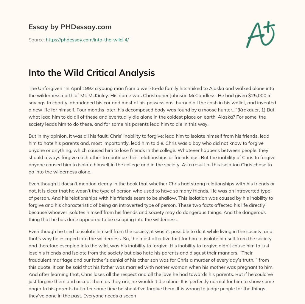Into the Wild Critical Analysis essay