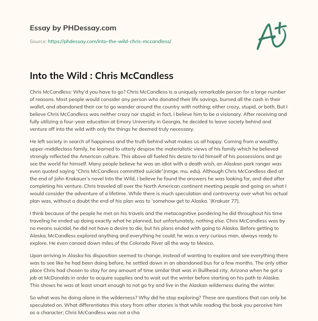 Into the Wild : Chris McCandless essay