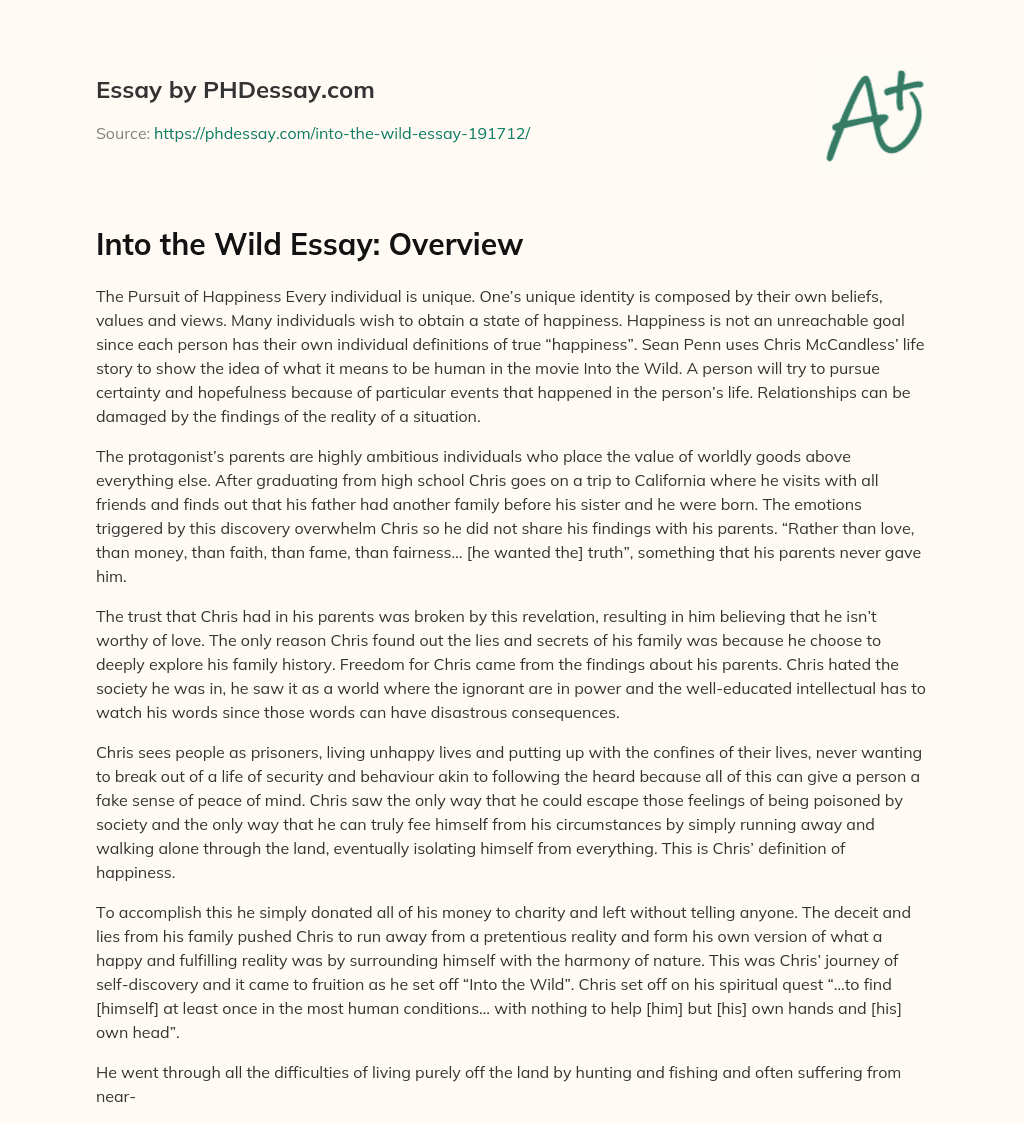 Into the Wild Essay: Overview essay