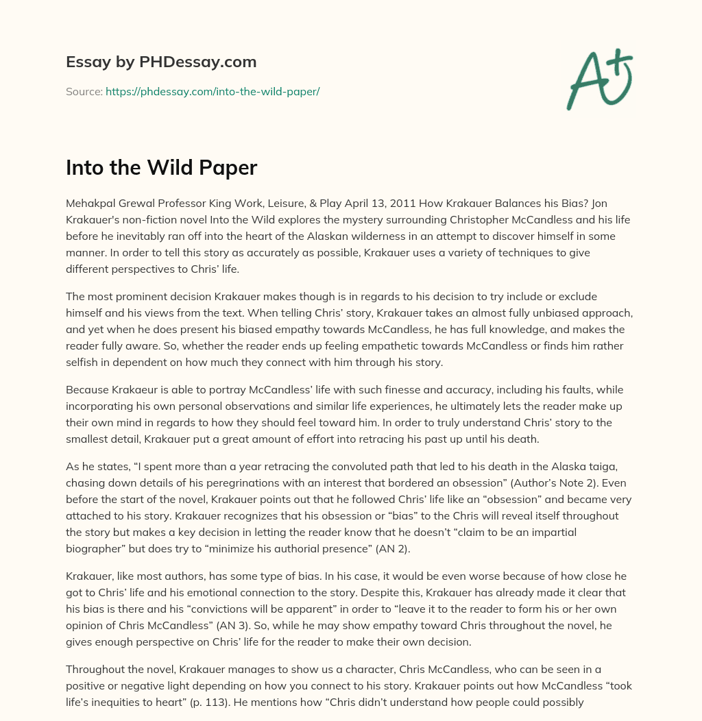 Into the Wild Paper essay