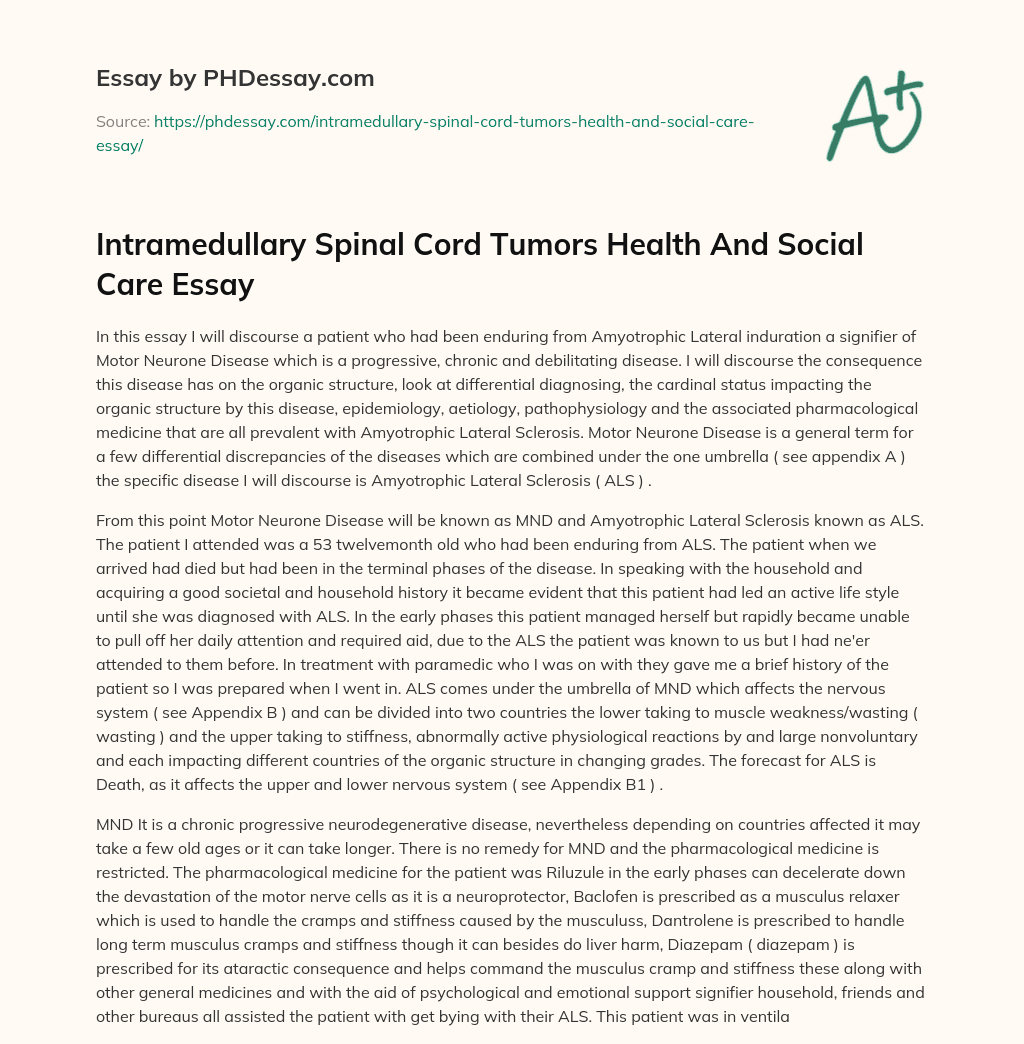Intramedullary Spinal Cord Tumors Health And Social Care Essay essay