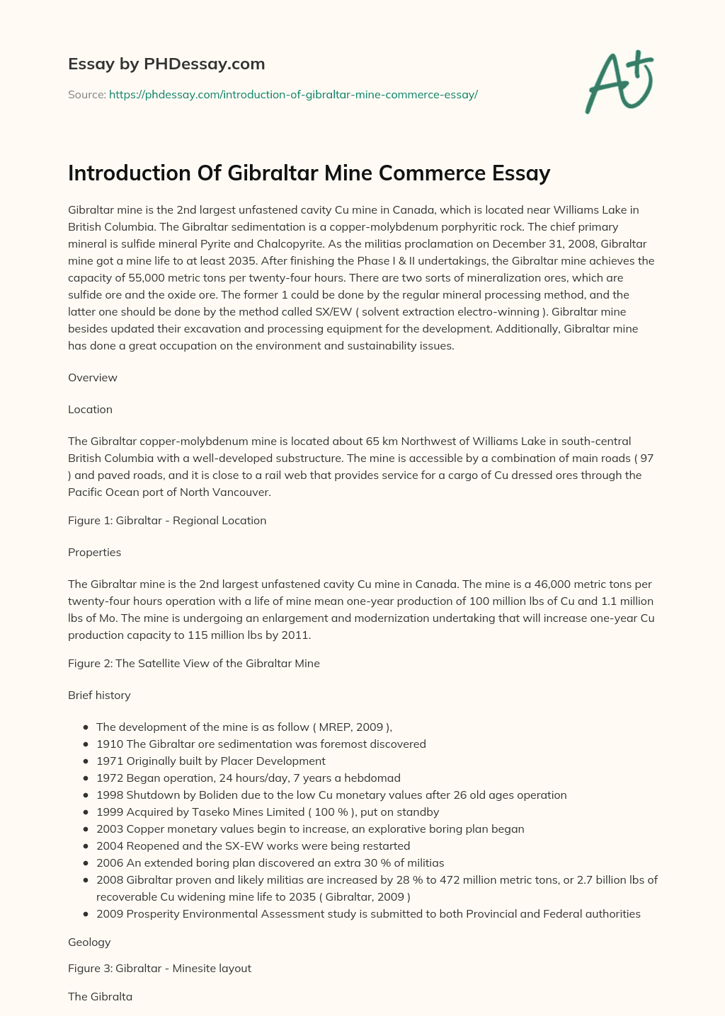 Introduction Of Gibraltar Mine Commerce Essay essay
