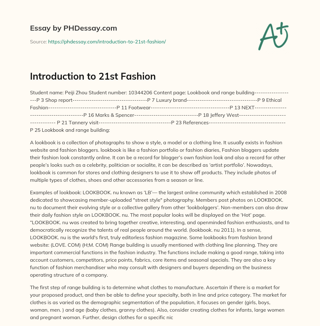 Introduction to 21st Fashion essay