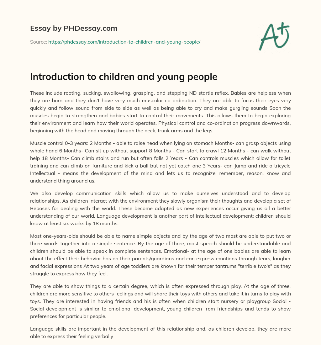Introduction to children and young people essay