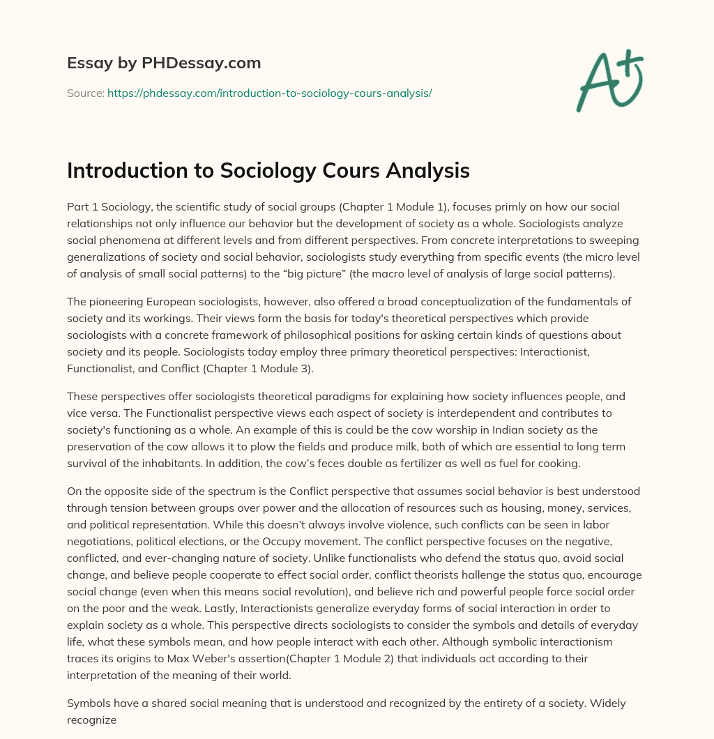 Introduction to Sociology Cours Analysis essay