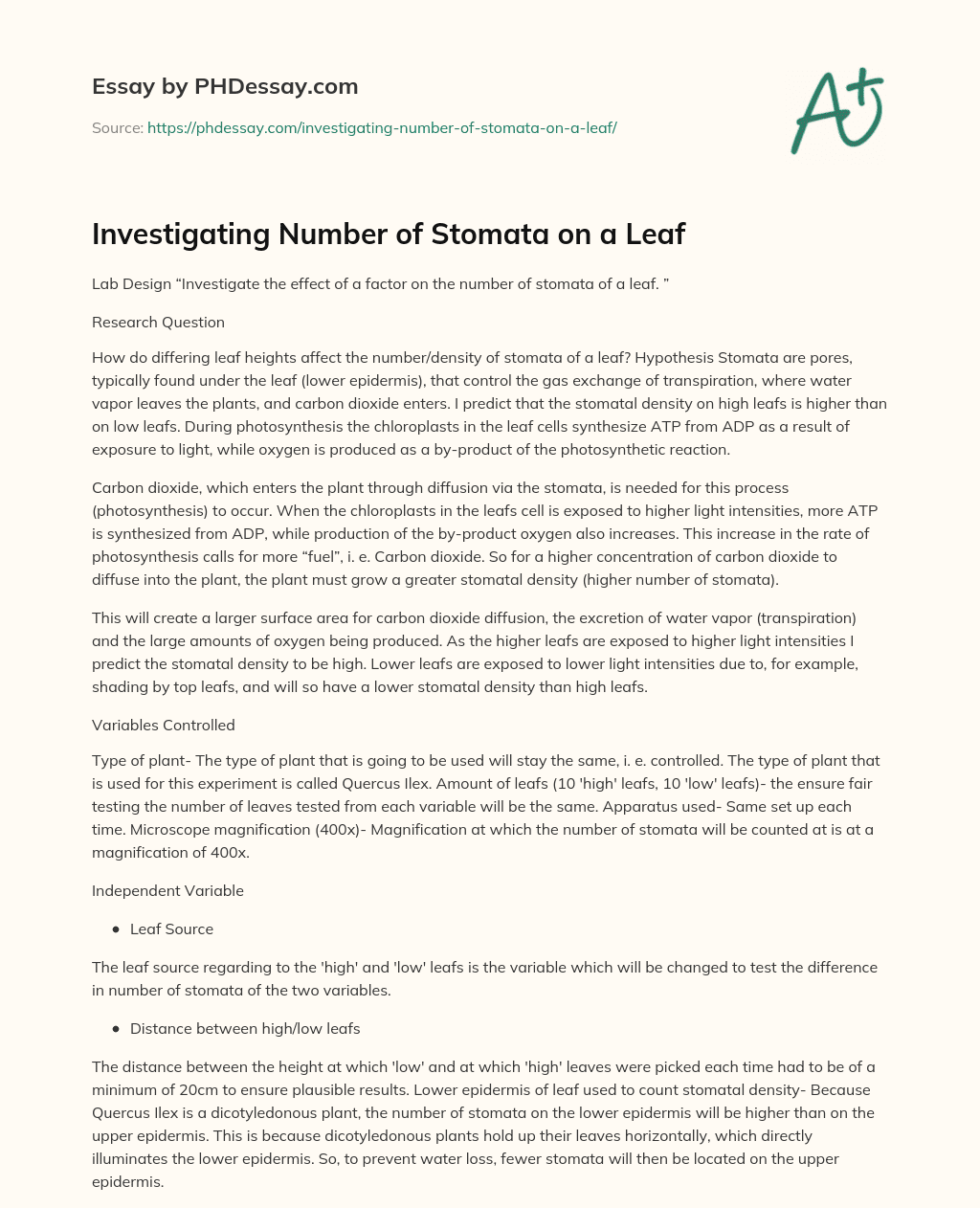 Investigating Number of Stomata on a Leaf essay
