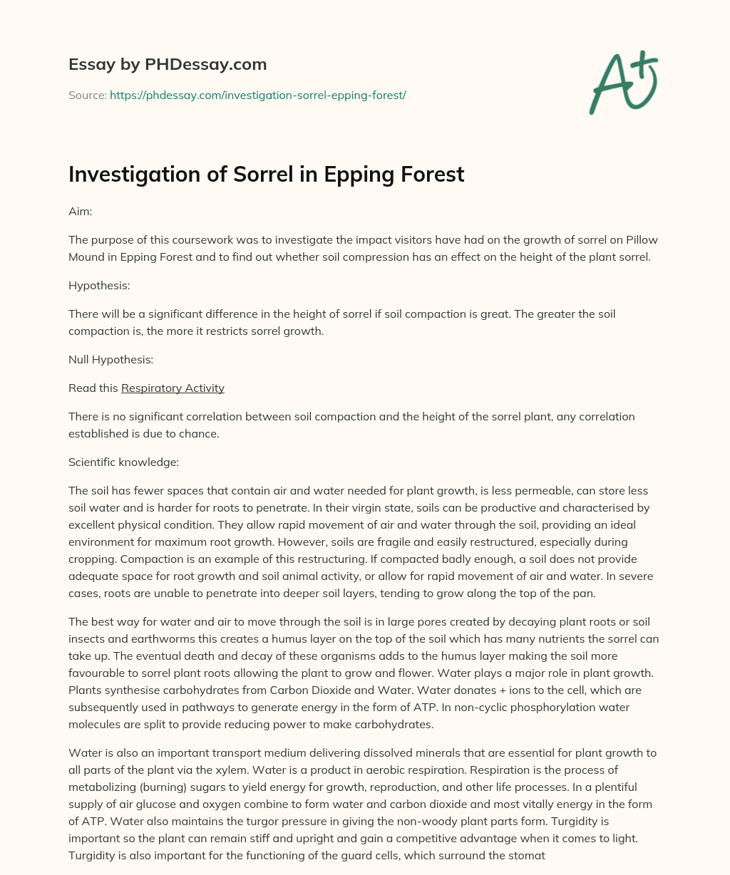 Investigation of Sorrel in Epping Forest essay