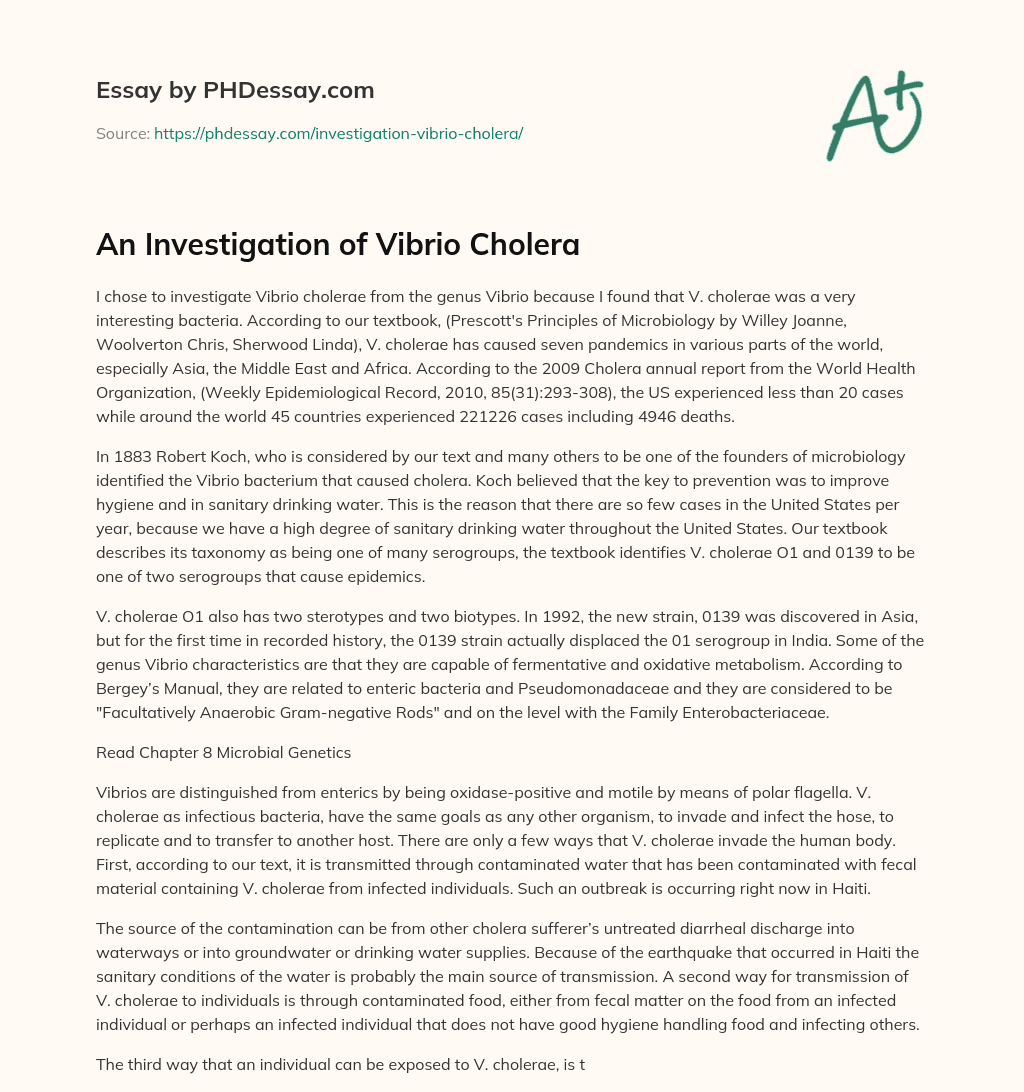 An Investigation of Vibrio Cholera essay